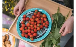 Rebel Outdoor Dessertteller 22 Cm Braun